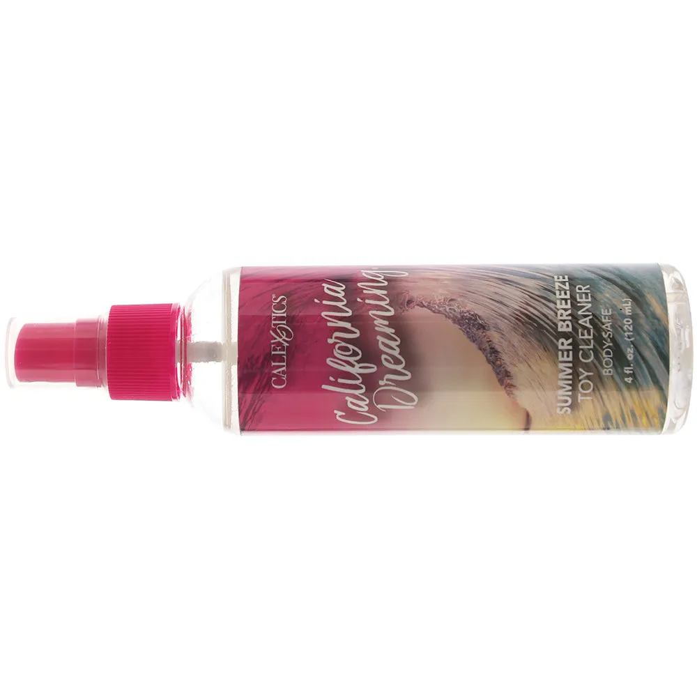 California Dreaming Toy Cleaner 4oz/120ml in Summer Breeze