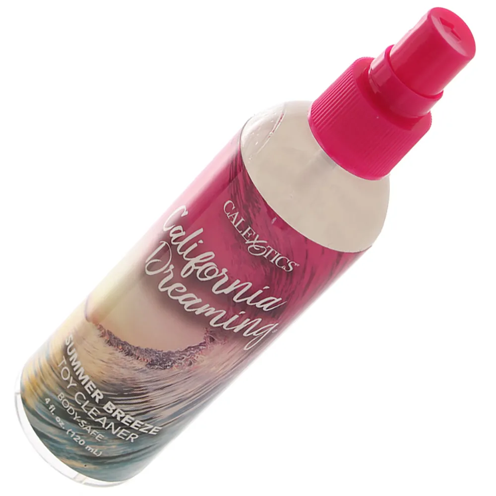 California Dreaming Toy Cleaner 4oz/120ml in Summer Breeze