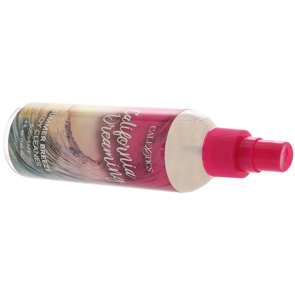 California Dreaming Toy Cleaner 4oz/120ml in Summer Breeze